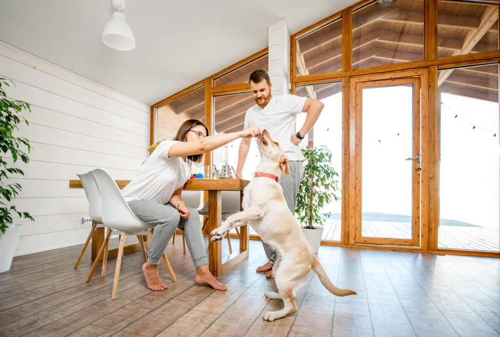 Life in James Landing: A Welcoming Retreat in the Heart of Newport News, VA